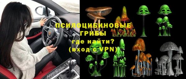 PSILOCYBIN Верхнеуральск